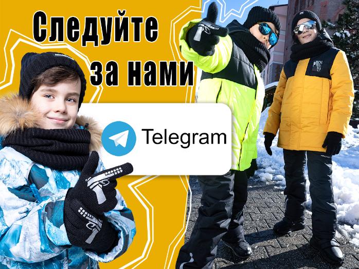 Мы в TELEGRAM