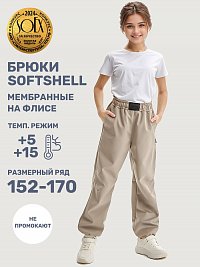Брюки 2л19425 какао оптом от производителя NIKASTYLE