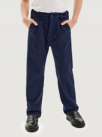 Брюки 2ш20925 синий оптом от производителя NIKASTYLE