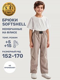Брюки 2л19325 какао оптом от производителя NIKASTYLE