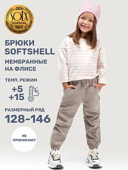 Брюки 2л17225 какао оптом от производителя NIKASTYLE