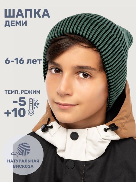 Шапка 11м11125 эвкалипт/черный