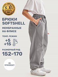 Брюки 2л19325 серый оптом от производителя NIKASTYLE