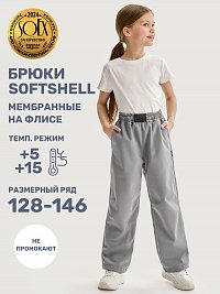 Брюки 2л19225 серый оптом от производителя NIKASTYLE