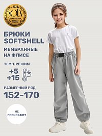 Брюки 2л19425 серый оптом от производителя NIKASTYLE