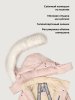 Куртка 4з4026 пудра оптом от производителя NIKASTYLE