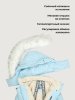 Куртка 4з4026 небесный оптом от производителя NIKASTYLE