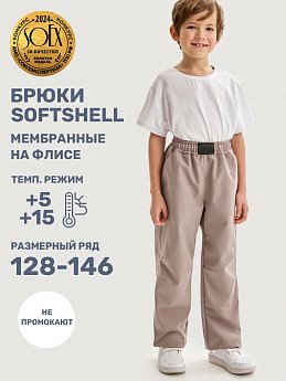 Брюки 2л19125 какао оптом от производителя NIKASTYLE