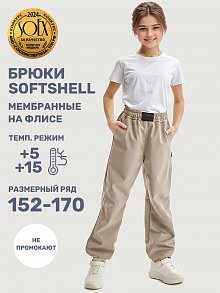 Брюки 2л19425 какао оптом от производителя NIKASTYLE