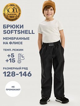Брюки 2л19125 черный оптом от производителя NIKASTYLE