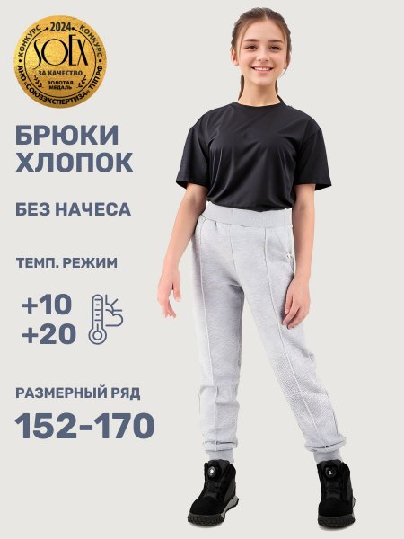 Брюки 2т22025 серый меланж